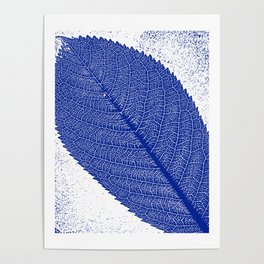 Blue leaf Poster