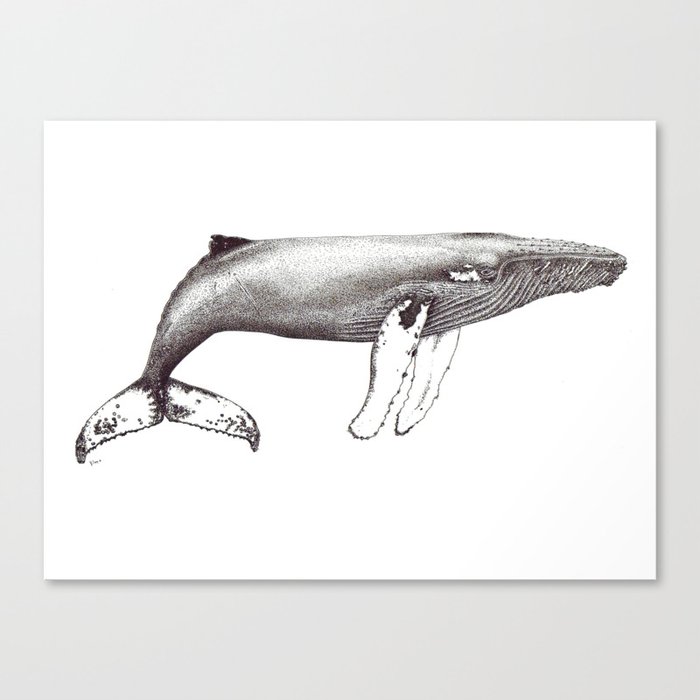 Humpback whale black and white ink ocean decor Canvas Print