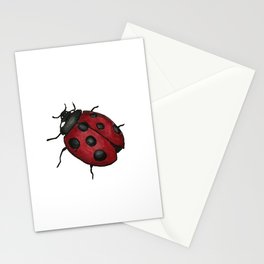 Lady Bug Stationery Cards
