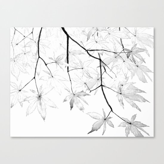 black and white maple leaves Canvas Print