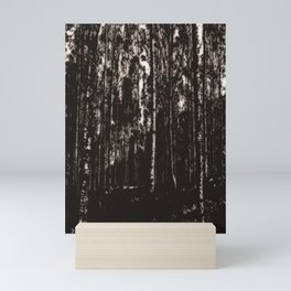 a grove of birch trees Mini Art Print