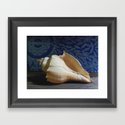 Seashell Series No. 7 Framed Art Print