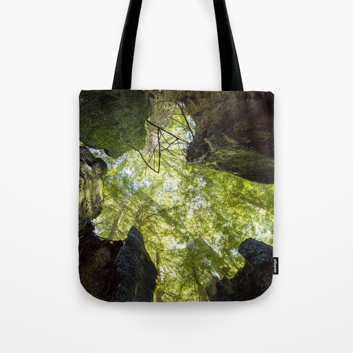 Looking at the Trees Above Tote Bag
