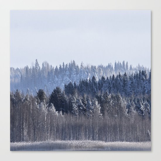 Blue shades in cold winter morning Canvas Print