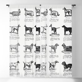 Dog Breeds (The Open Door to Independence) Blackout Curtain