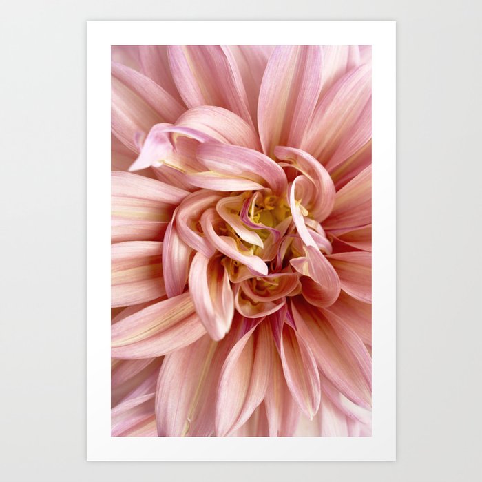 Flower Bloom Art Print by PrintsProject | Society6