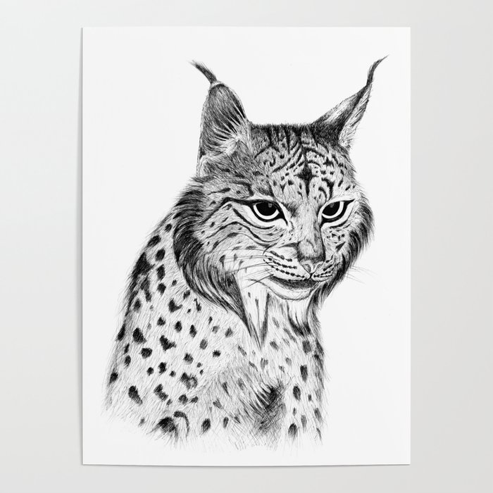 Iberian Lynx B/N Poster