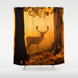 Deer in a danish forest Shower Curtain