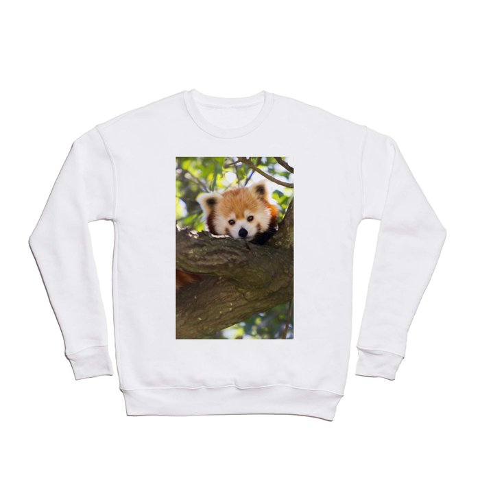 Red Panda Cutie Crewneck Sweatshirt