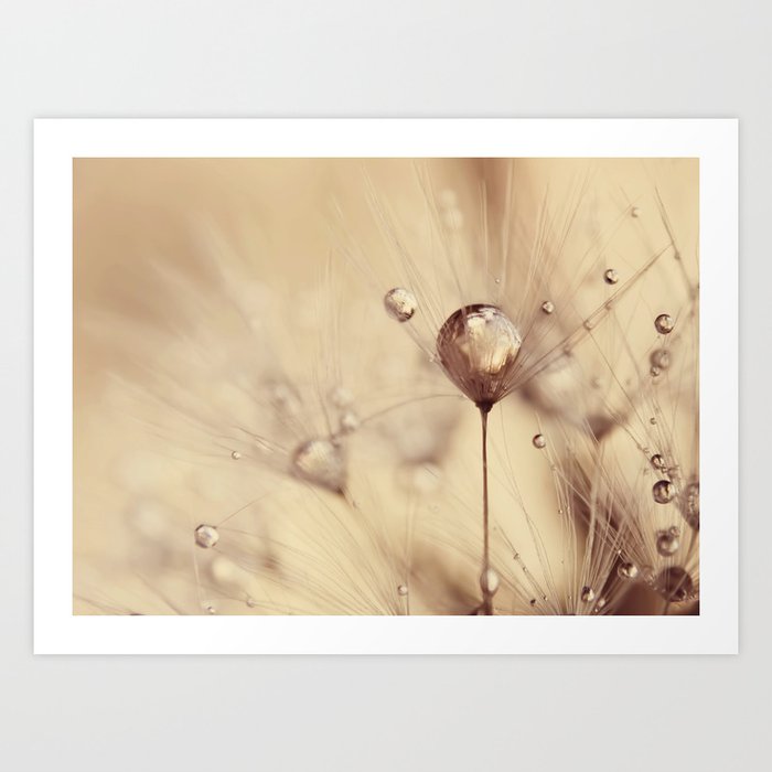 Dandelion Flower Print - Gold Flower - Elegant Floral Photography Art Print