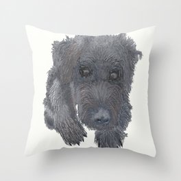 Schnoodle Throw Pillow