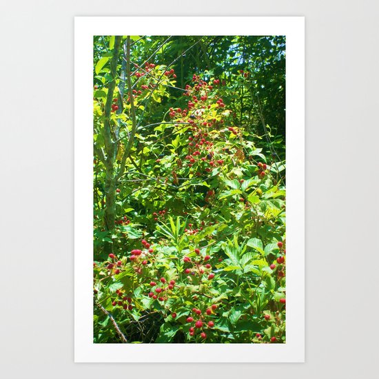 blackberry vine Art Print