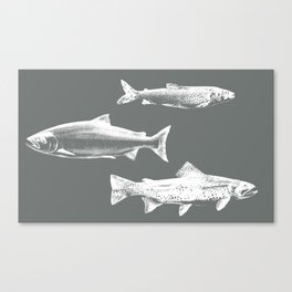 Salmon party Canvas Print