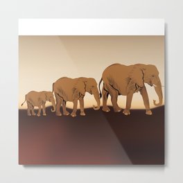 African elephants Metal Print