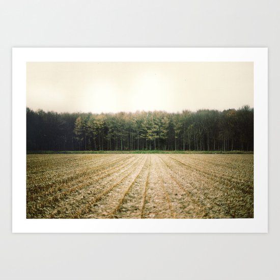 Autumn Trees Art Print