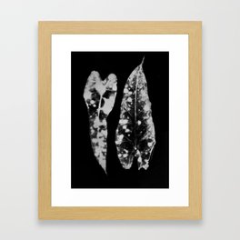 Ghostly Mottled Leaves Photogram Framed Art Print
