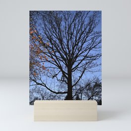 Pure Michigan Mini Art Print