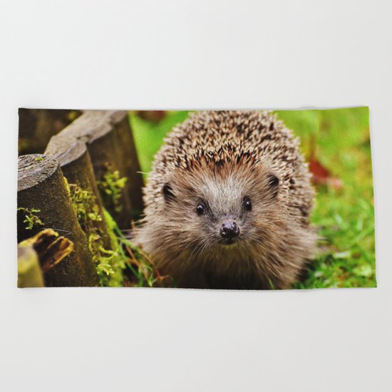 Cute Little Hedgehog Beach Towel
