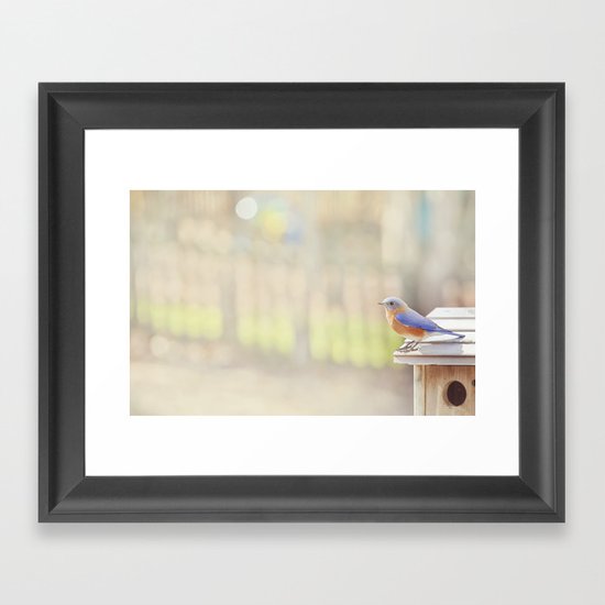 Bluebird Morning Framed Art Print