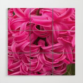 Pink Hyacinth  Wood Wall Art