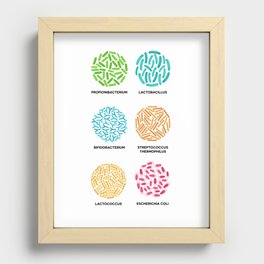 Bacterial Colonies Collection For Biologist, Microbiology and Science Recessed Framed Print