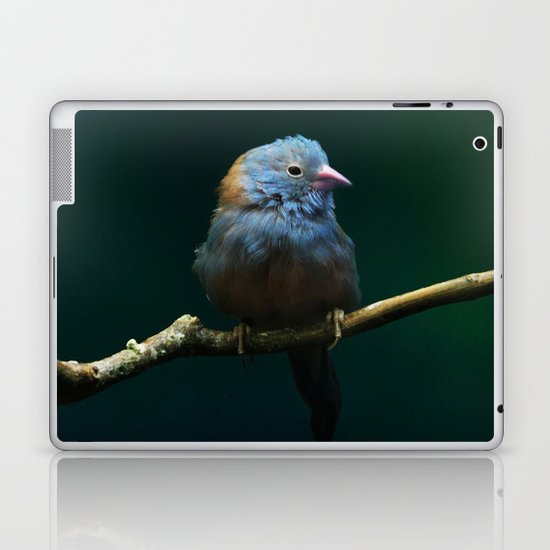 Cordon Bleu Canary Laptop & iPad Skin