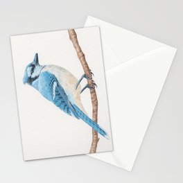 Blue Jay Stationery Cards