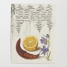Calligraphic slug and flowers poster Poster