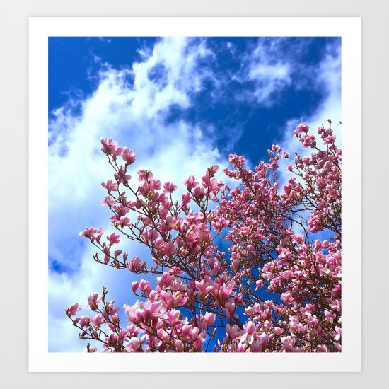 Sky High Magnolias Art Print