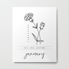January Birth Flower | Carnation Metal Print | Personalized, Customgift, Drawing, Meaning, Flowers, Nature, Birthday, Flora, Abstract, Month 