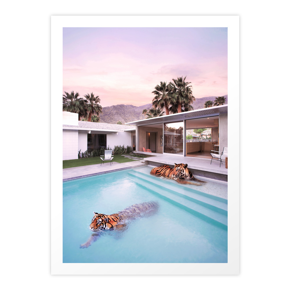 SHOP ART ONLINE Palm Springs Tigers Art Print by Paul Fuentes Photo
