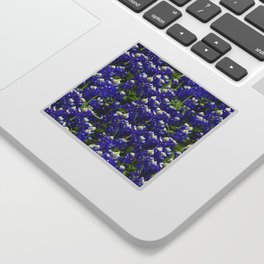 Texas Bluebonnets Sticker