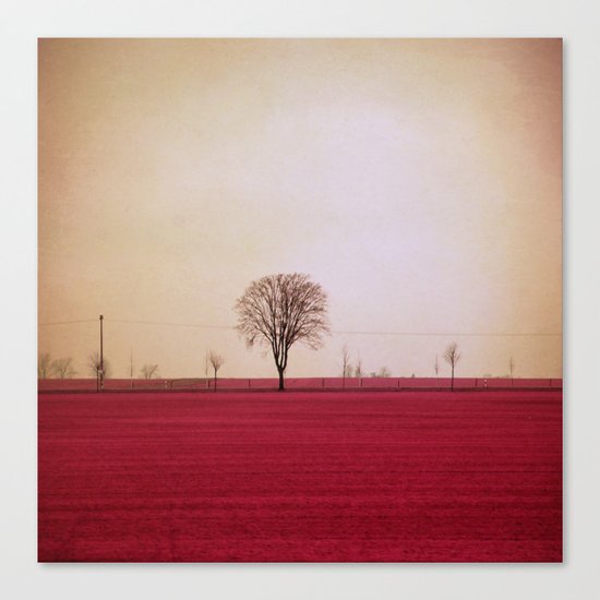 silence Canvas Print