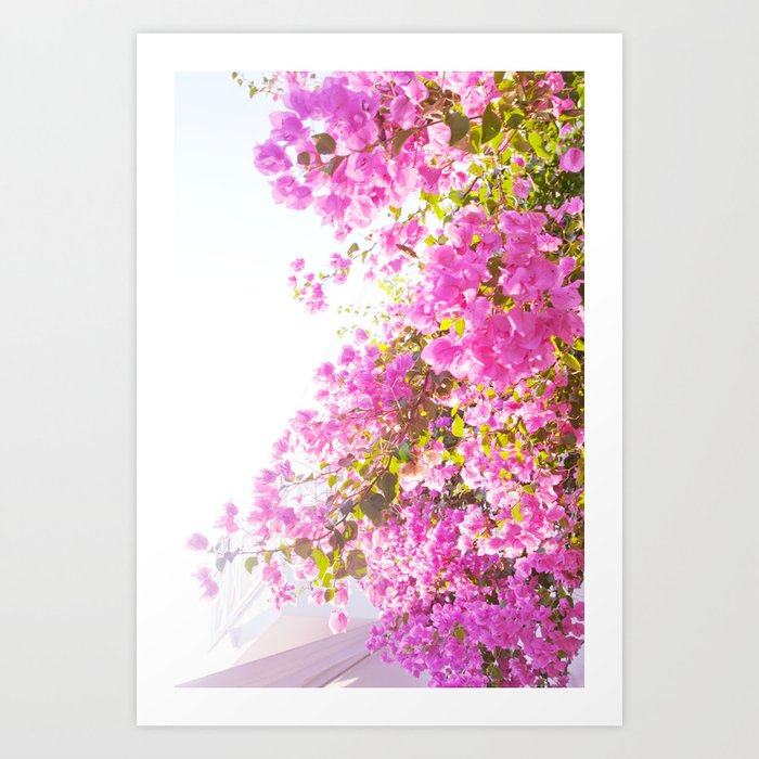 Santorini Pink Flower Dream #1 #wall #art #society6 Art Print