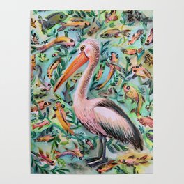 Pelican dreams Poster