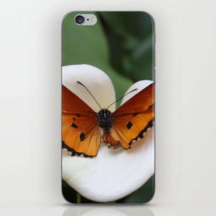 Monarch Butterfly iPhone Skin