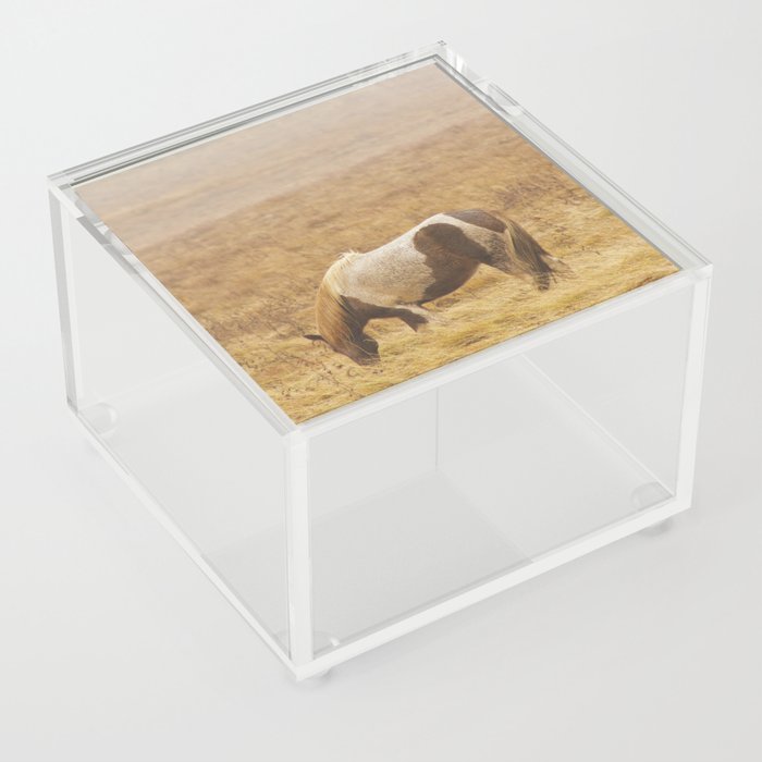 Runaway Acrylic Box | Photography, Digital, Photography, Icelandic-horse, Iceland, Plains