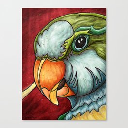 Bright quaker parrot portrait, cute monk parakeet painting Canvas Print
