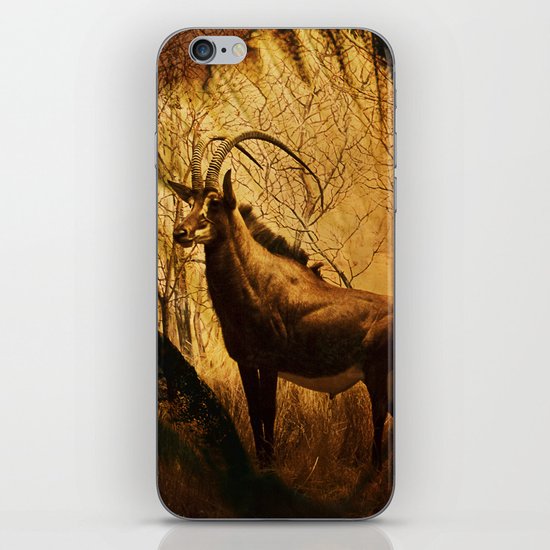 Diorama :: Antelope iPhone & iPod Skin