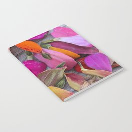 Colorful Zinnia Petals & Seeds Notebook