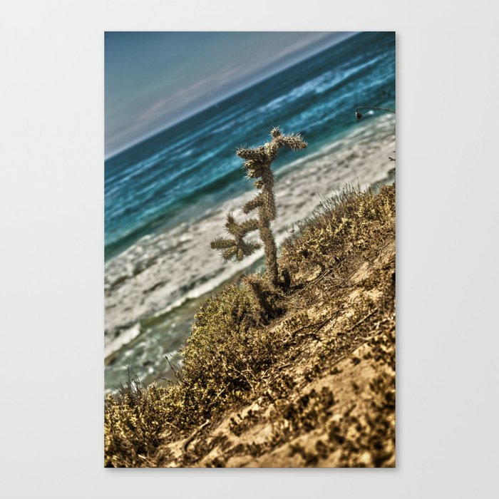 The Lonely Golden Cactus. Canvas Print