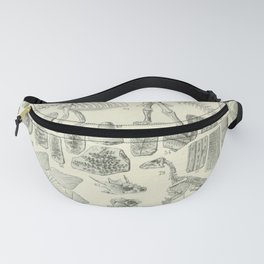 Fossil Chart Fanny Pack