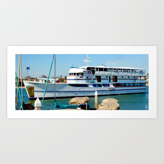 The Wild Goose Art Print