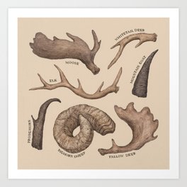 Antlers Art Print