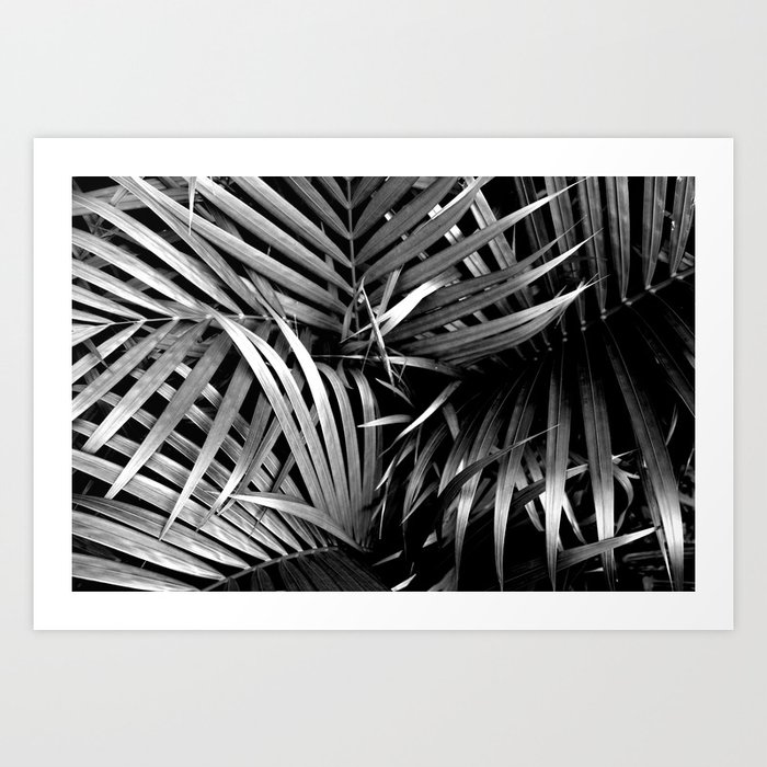 Palm Trees #194 Art Print