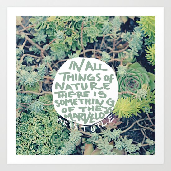 Aristotle: Nature Art Print