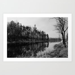 Forrest Reflection upstate NY (BNW) Art Print