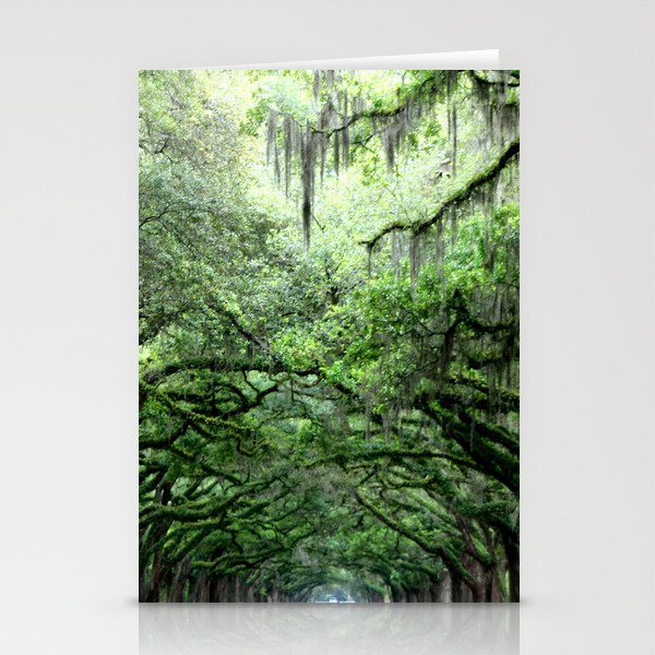 Canopy of Trees in Savannah, GA Stationery Cards