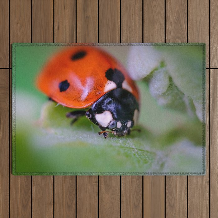 Macro Ladybug Photograph Outdoor Rug