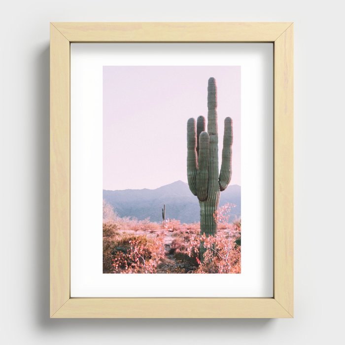 Pink Vintage Nature Photo of Cactus on Desert Hike - Phoenix Arizona USA Recessed Framed Print